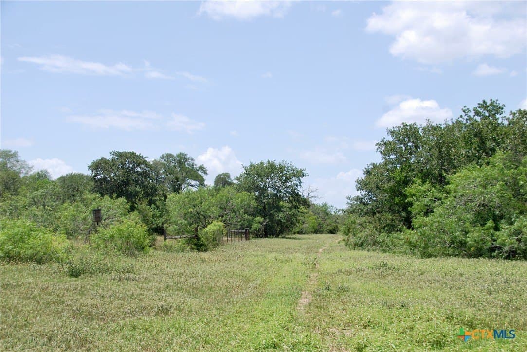 368 acres in Gonzales County - photo 44