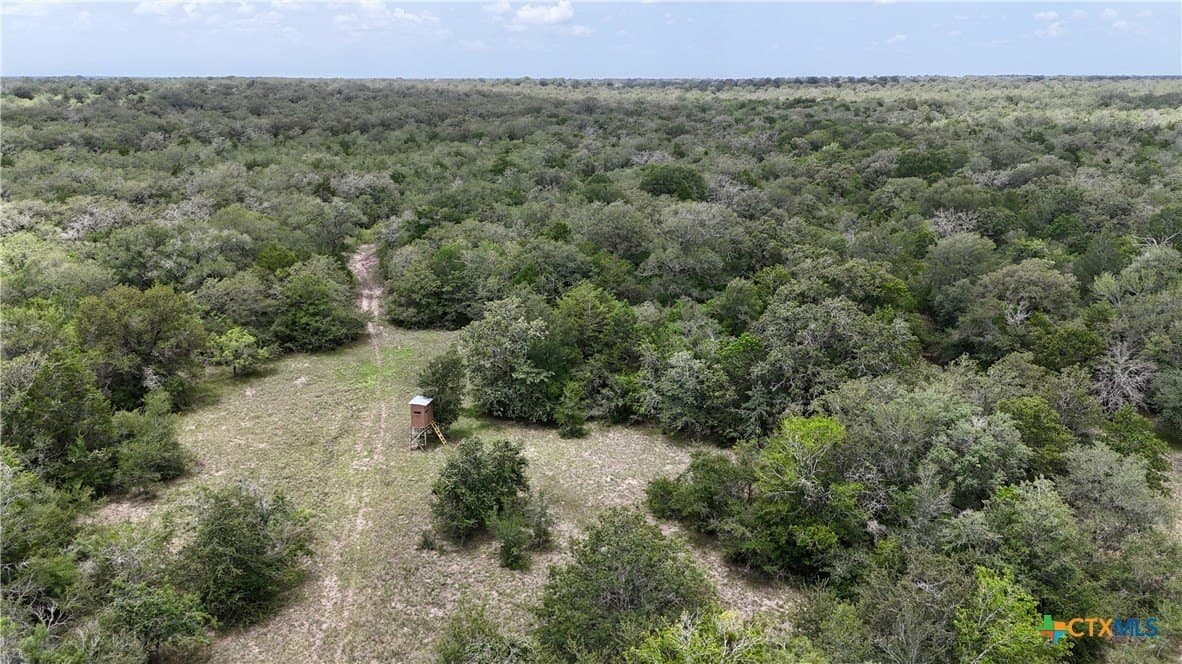 368 acres in Gonzales County - photo 26