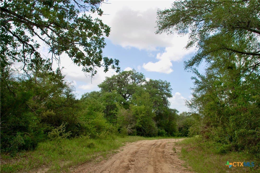 368 acres in Gonzales County - photo 9