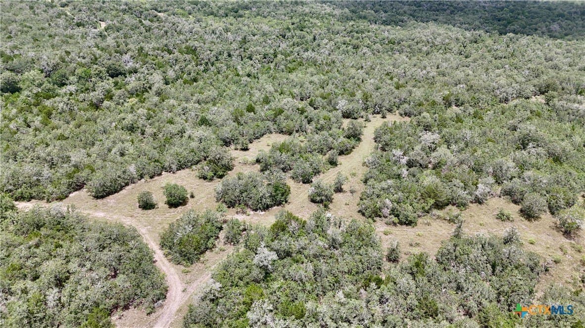 368 acres in Gonzales County - photo 27