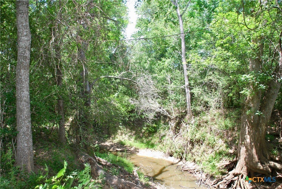 368 acres in Gonzales County - photo 15