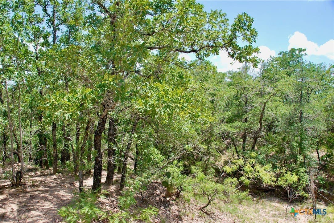 368 acres in Gonzales County - photo 43