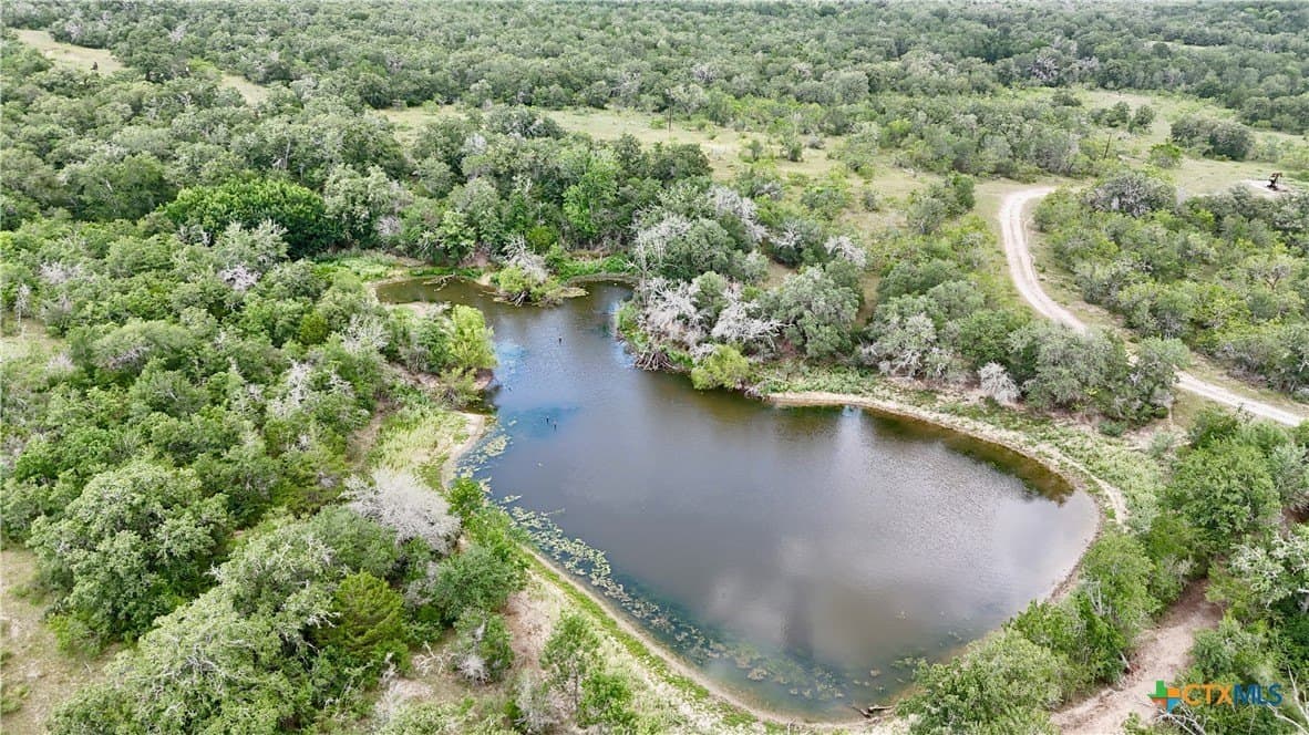 368 acres in Gonzales County gallery image 2