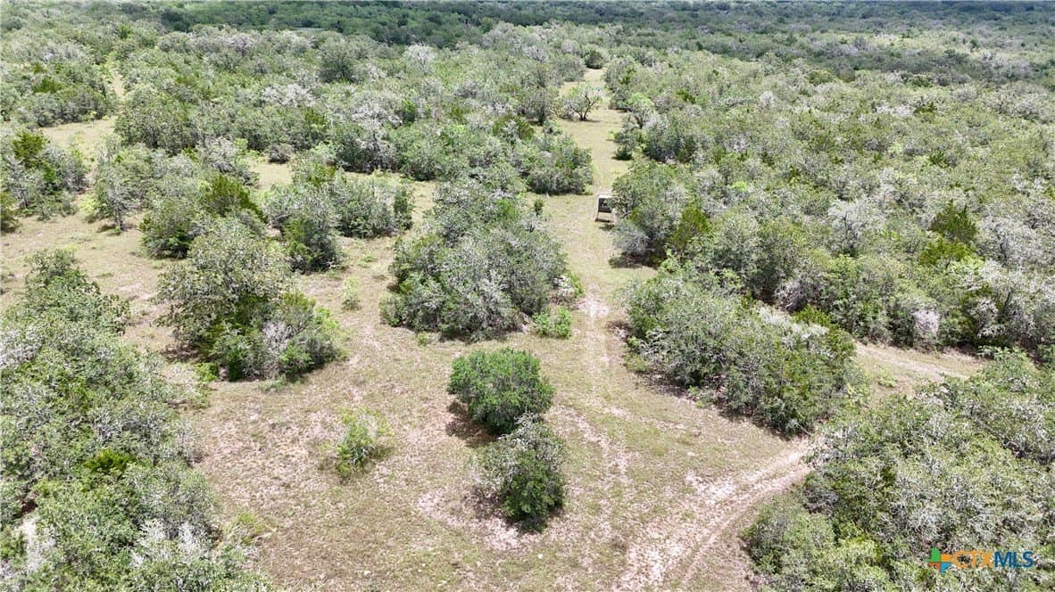 368 acres in Gonzales County - photo 28