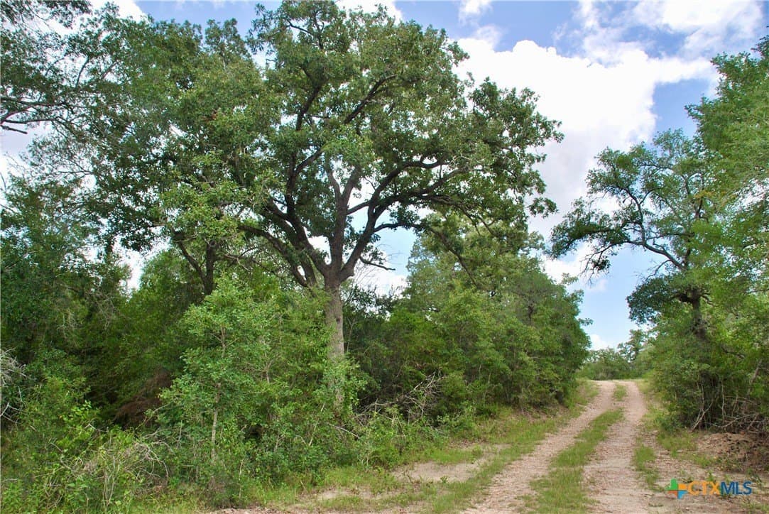 368 acres in Gonzales County - photo 17