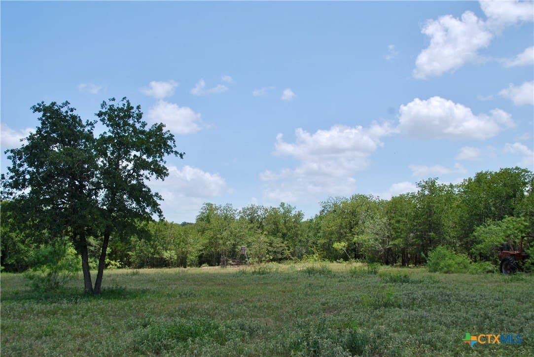 368 acres in Gonzales County - photo 24