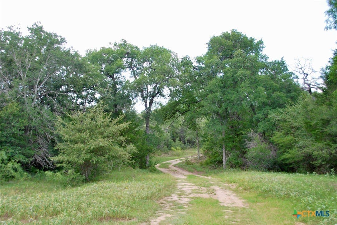 368 acres in Gonzales County - photo 11