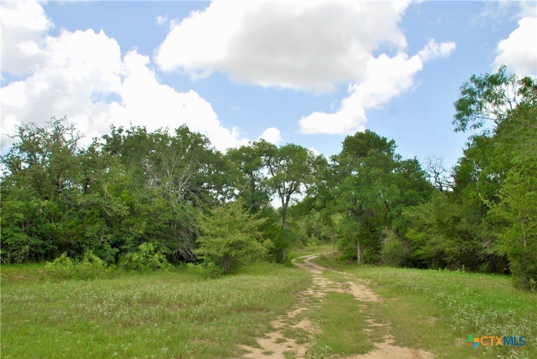 368 acres in Gonzales County - photo 10
