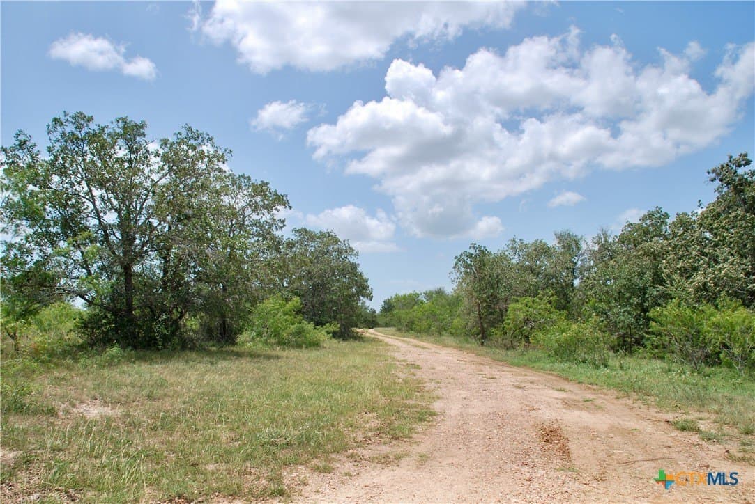 368 acres in Gonzales County - photo 8