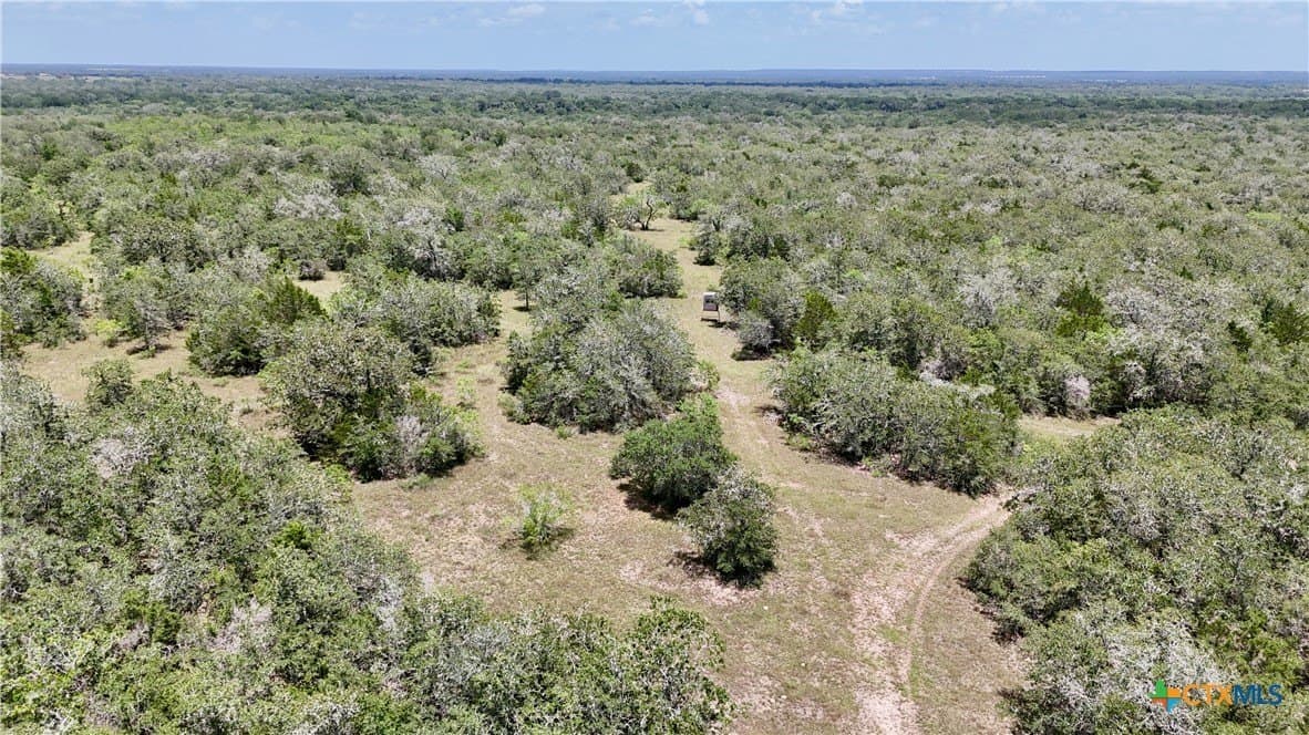 368 acres in Gonzales County - photo 31