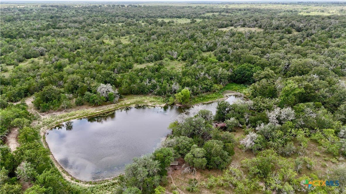 368 acres in Gonzales County gallery image 3