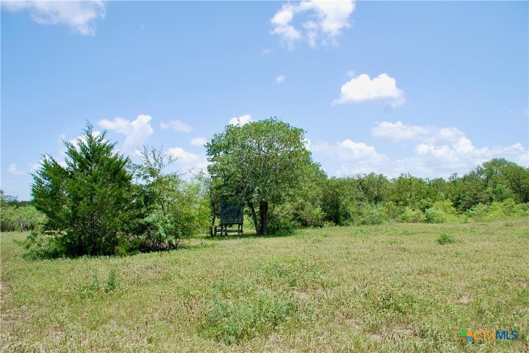 368 acres in Gonzales County - photo 33