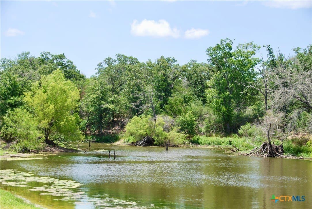 368 acres in Gonzales County featured view