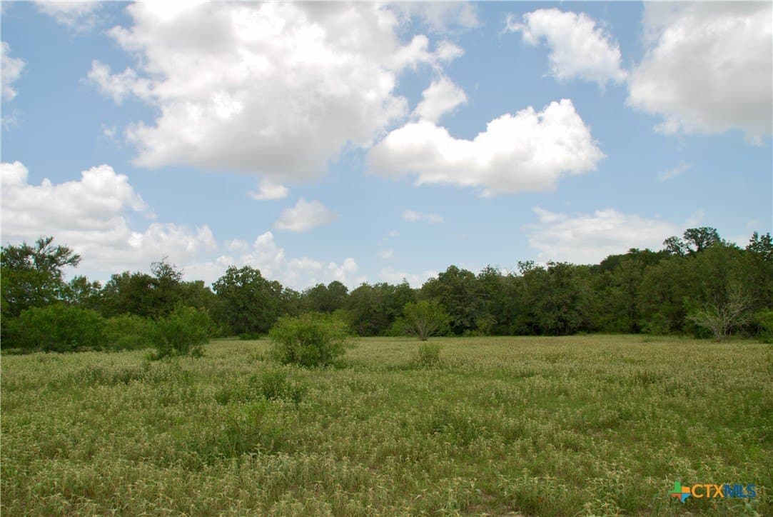 368 acres in Gonzales County - photo 22