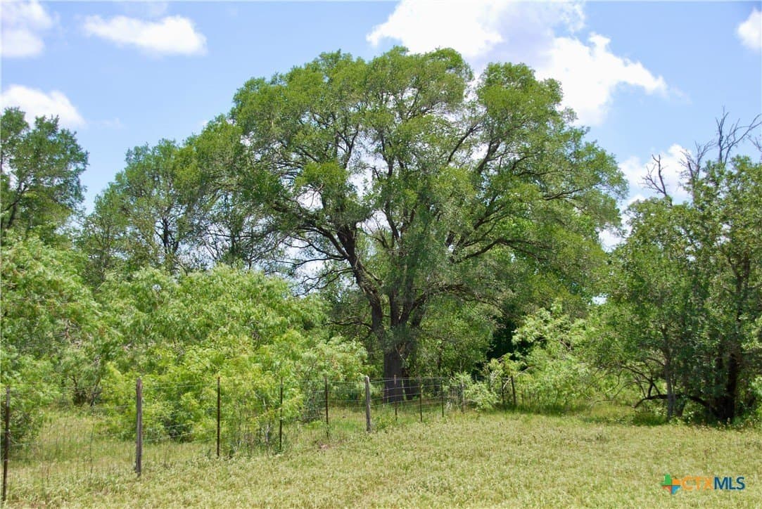 368 acres in Gonzales County - photo 20