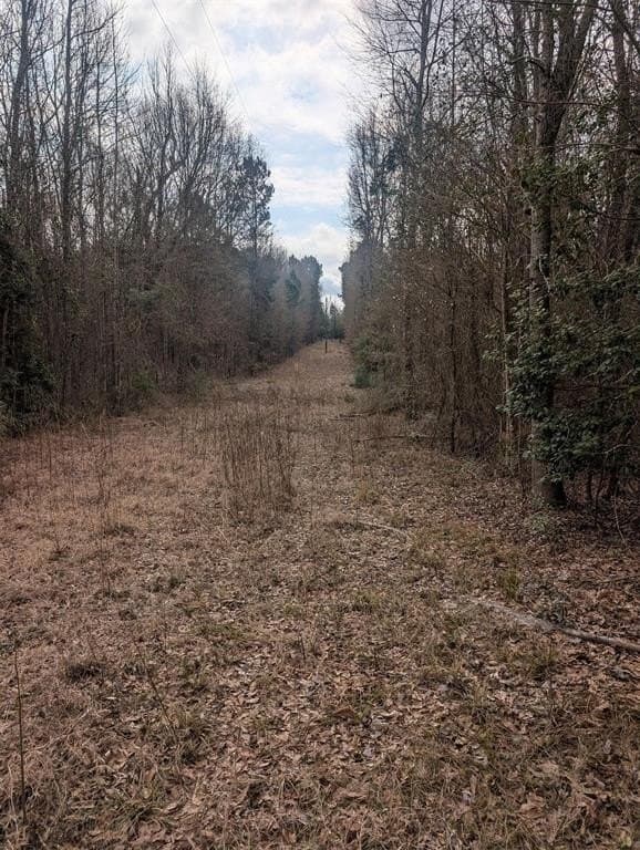 2.65 acres in Wood County gallery image 2