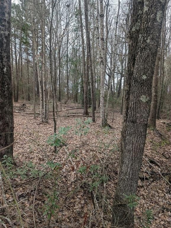 2.65 acres in Wood County gallery image 3