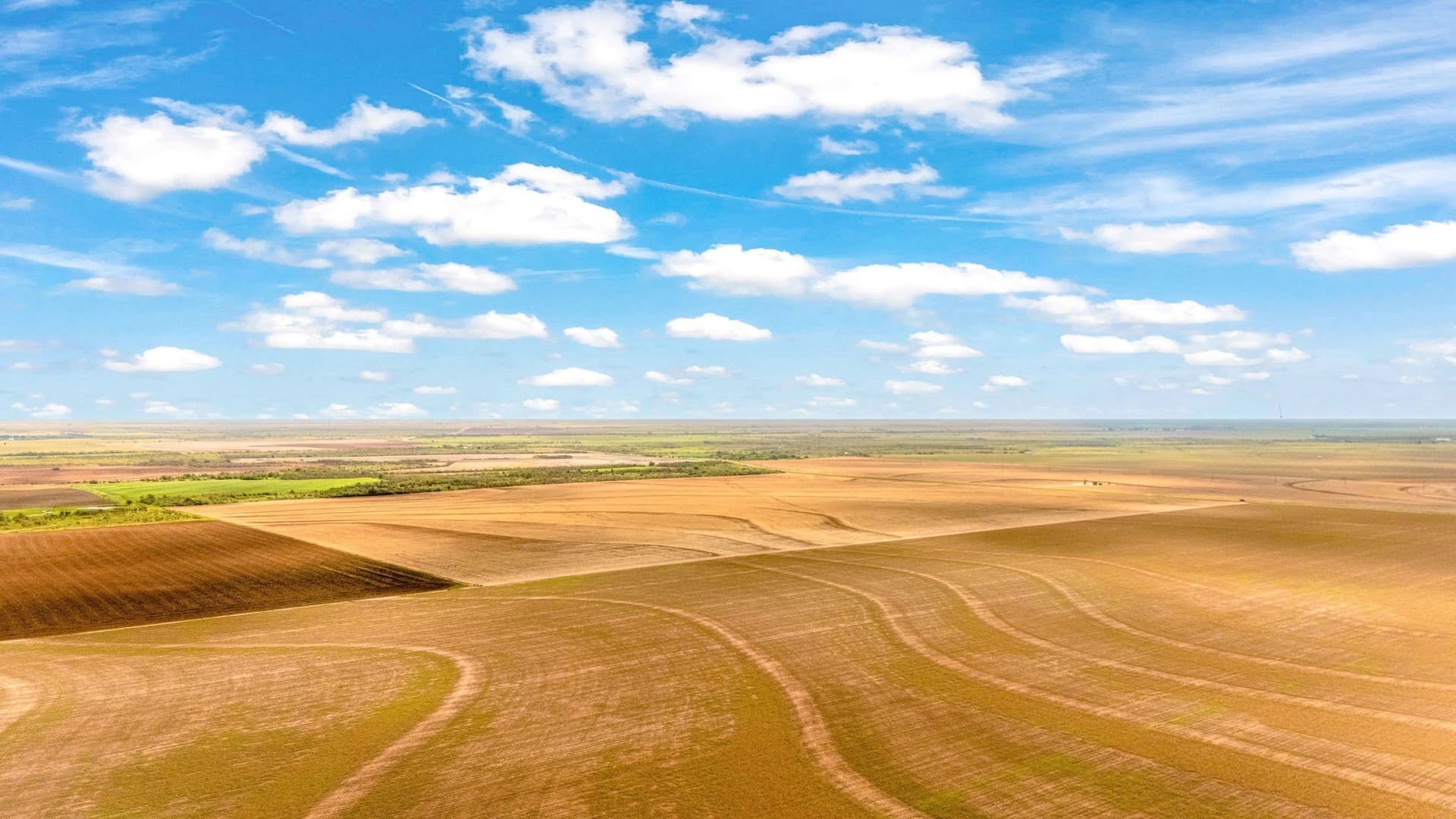 423.18 acres in Runnels County - photo 36