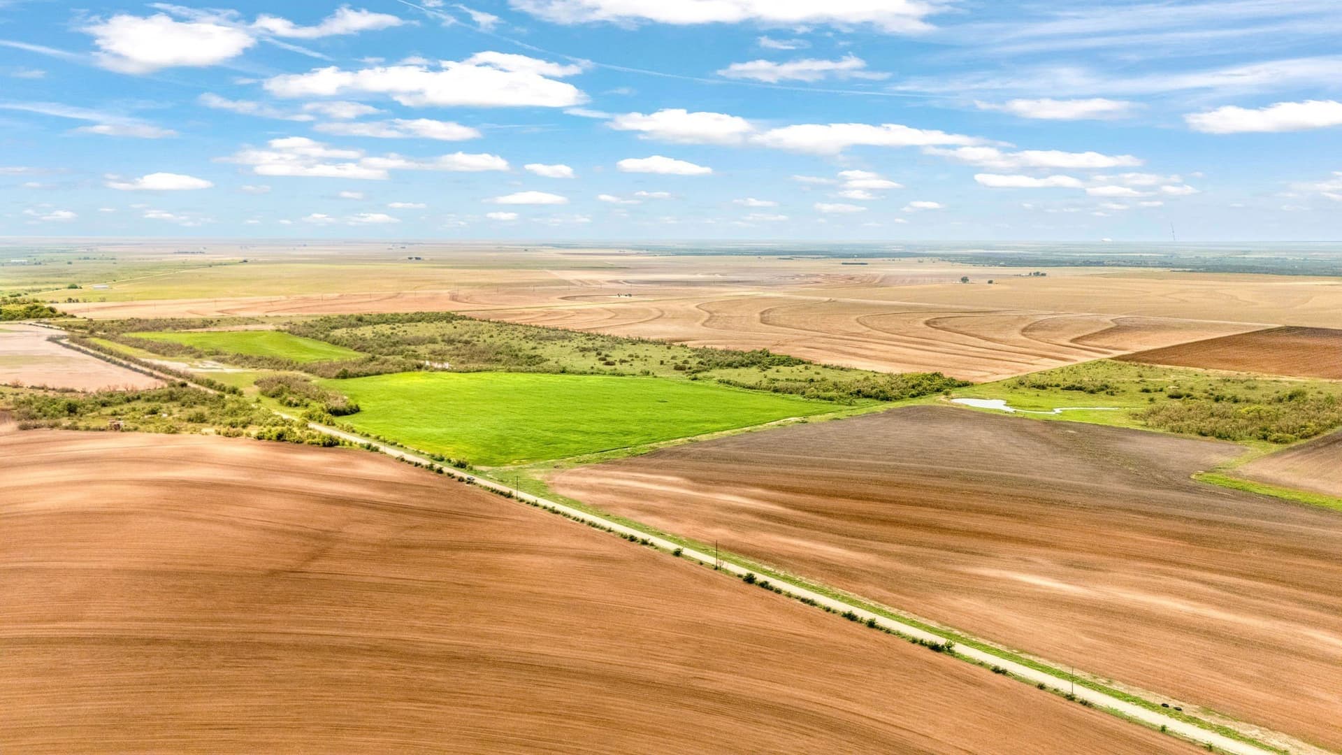 423.18 acres in Runnels County gallery image 3