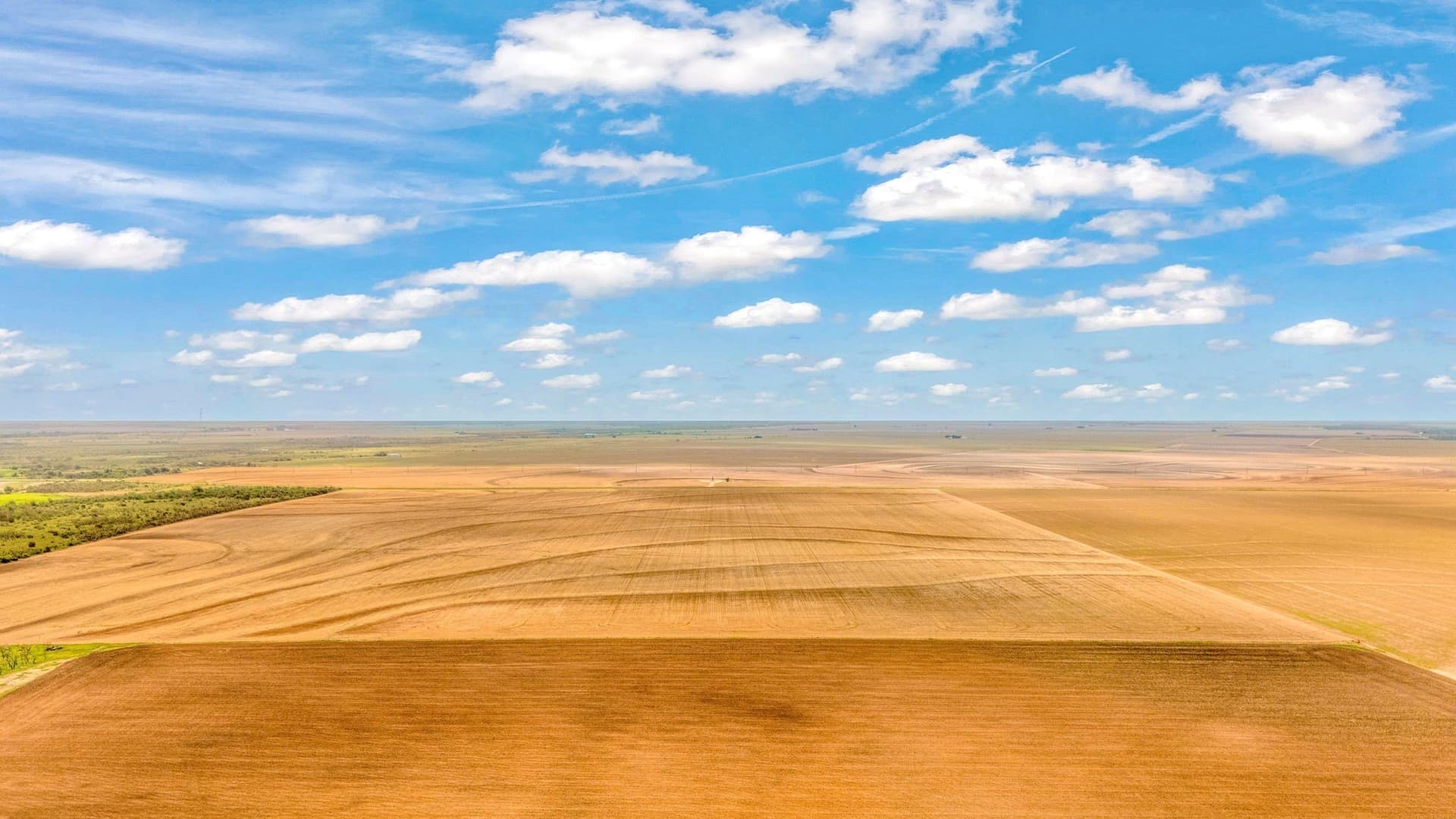 423.18 acres in Runnels County - photo 35