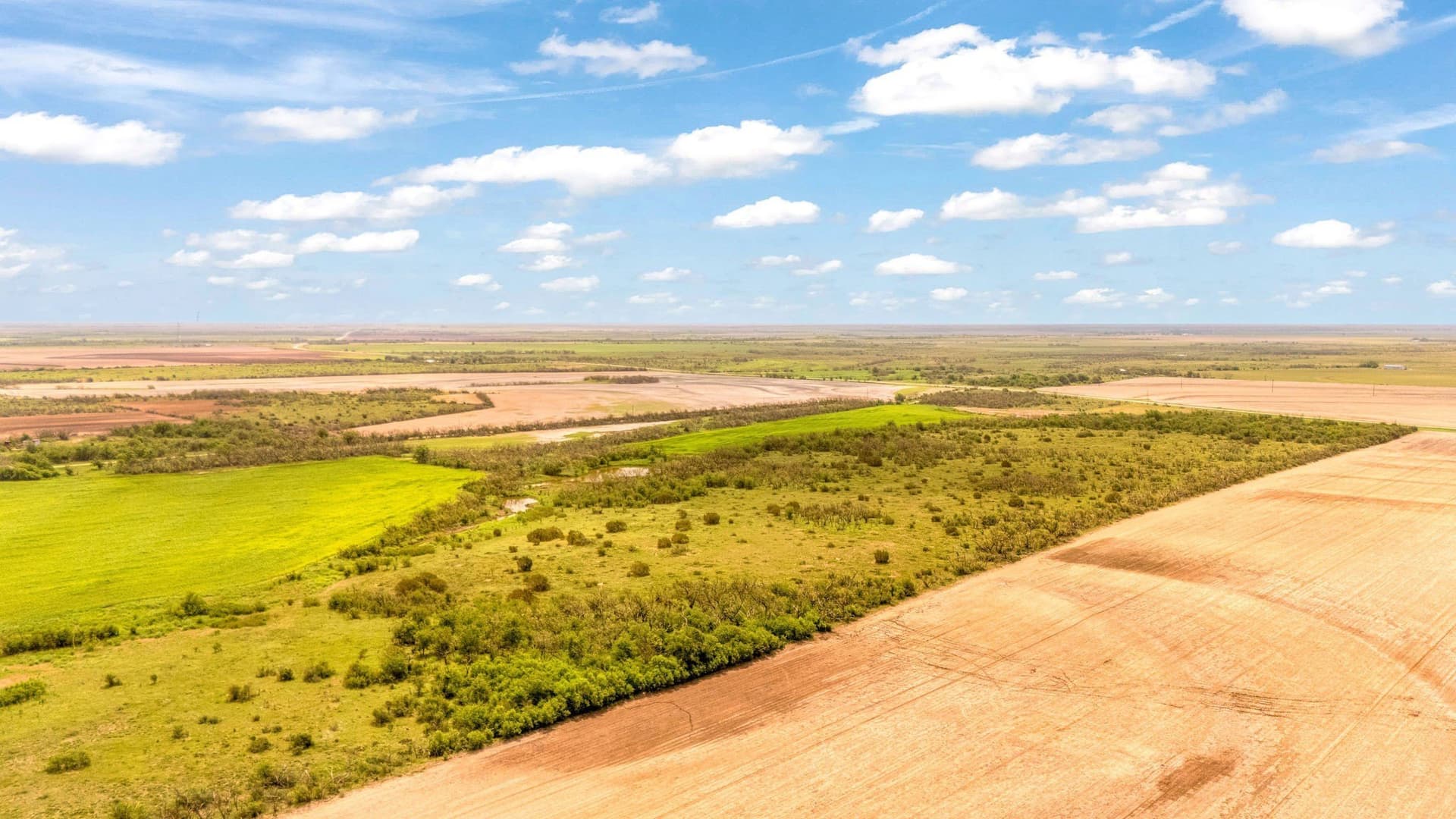 423.18 acres in Runnels County - photo 39