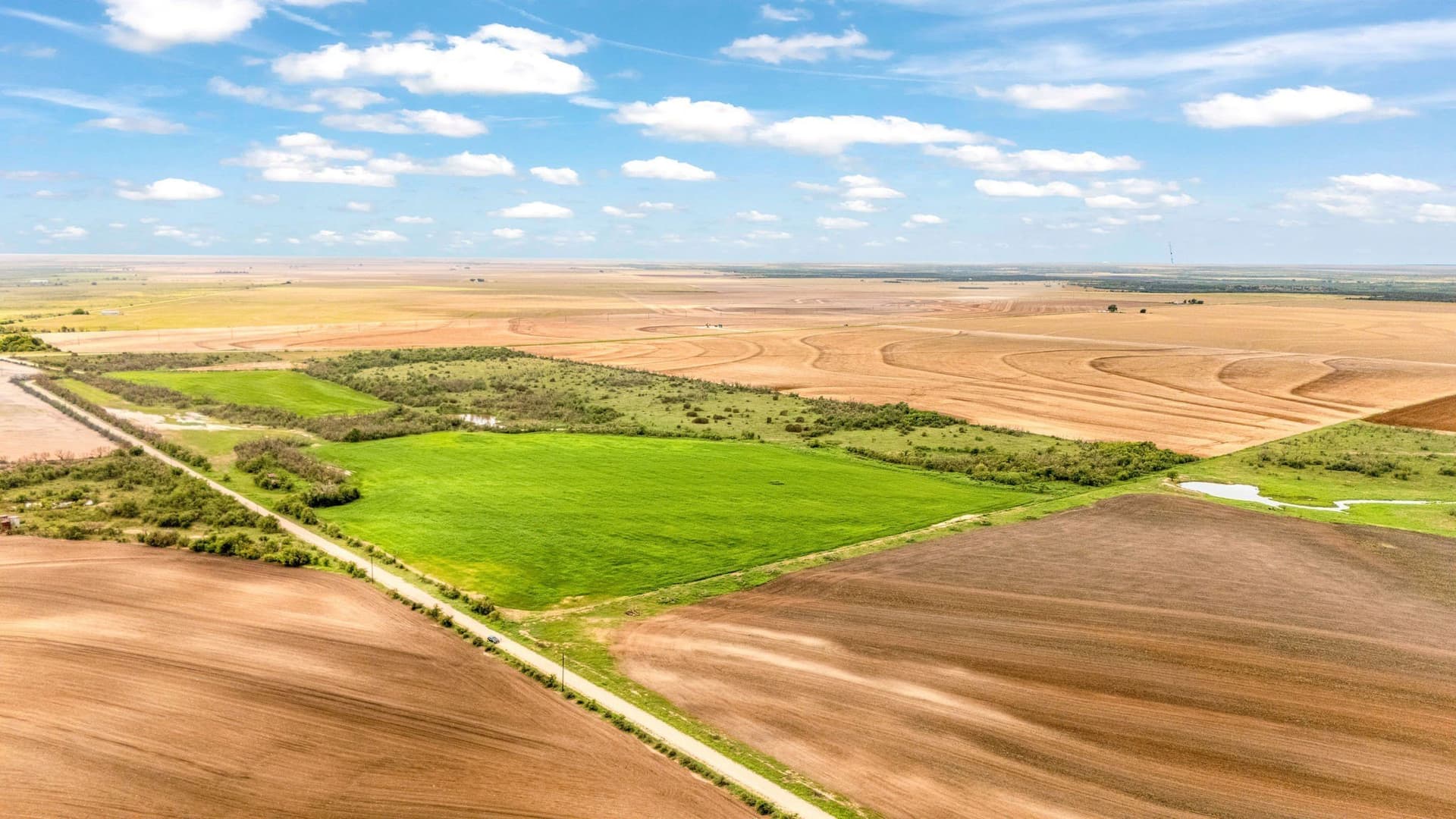 423.18 acres in Runnels County gallery image 2