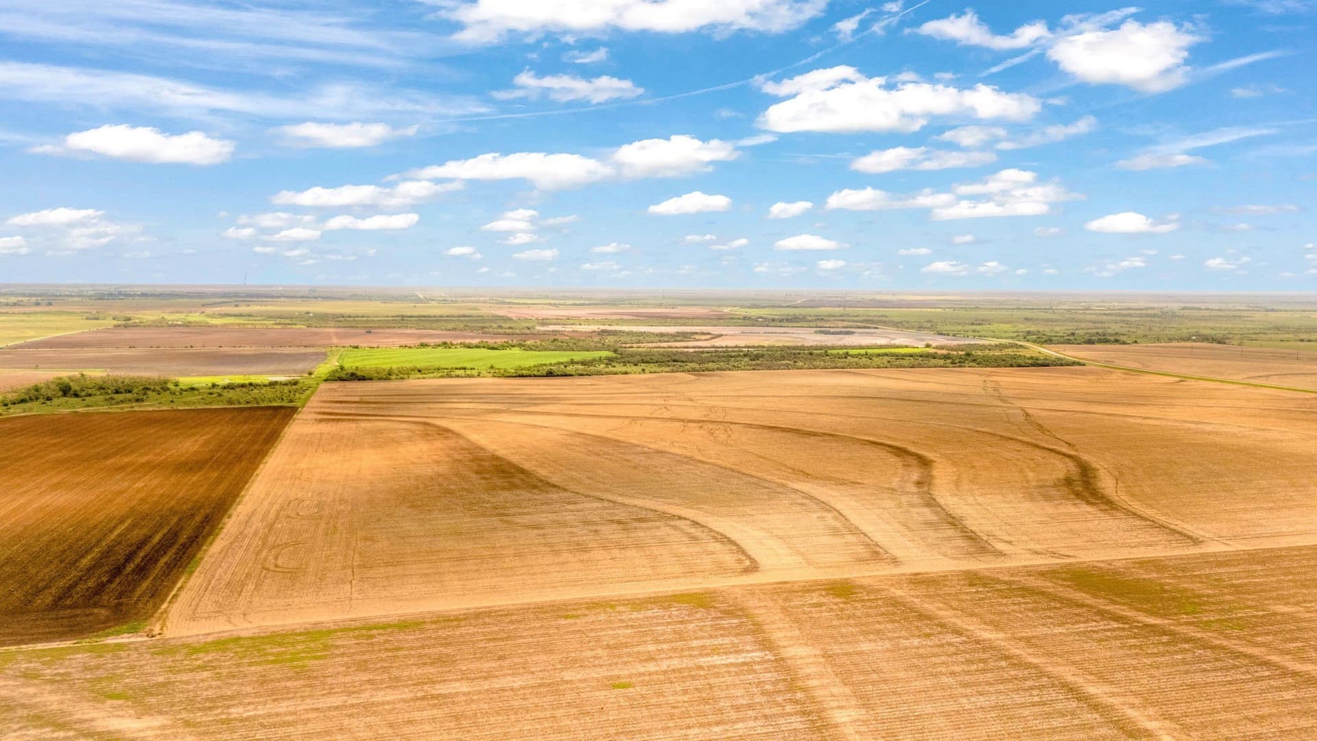423.18 acres in Runnels County - photo 38