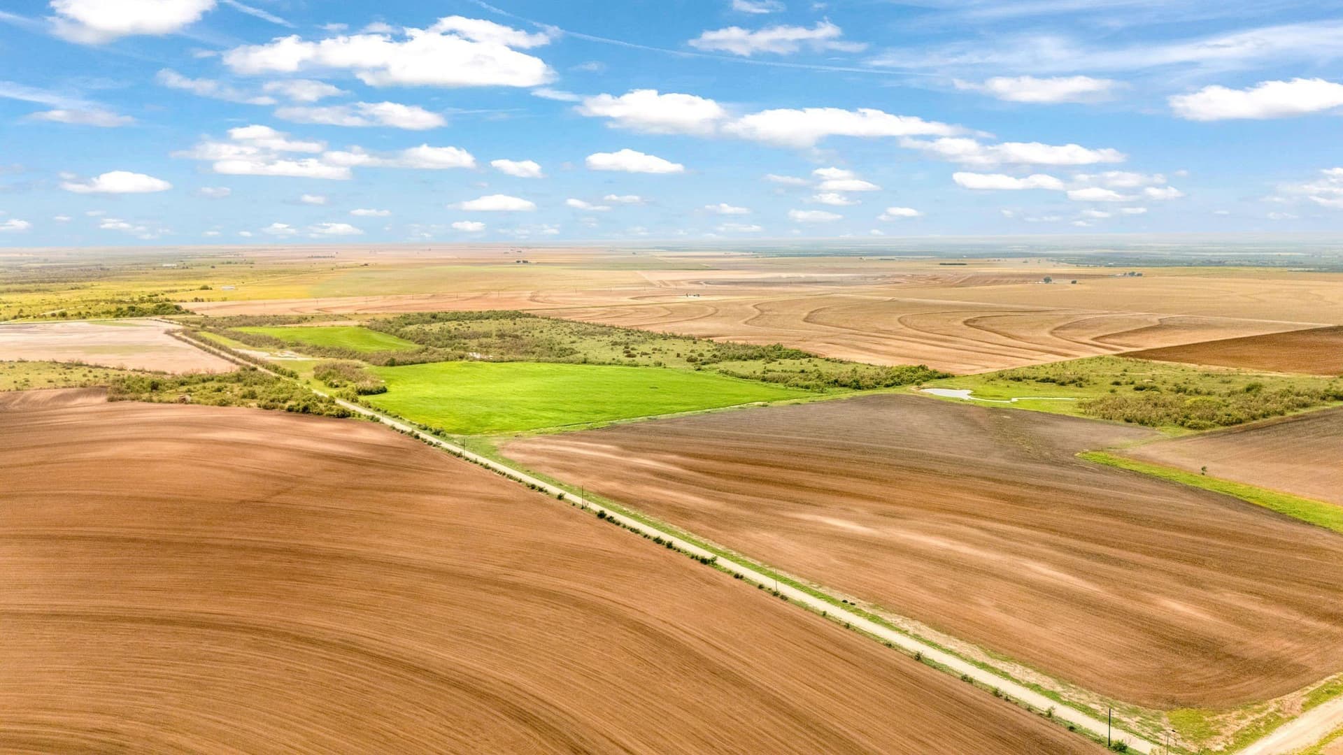 423.18 acres in Runnels County gallery image 4