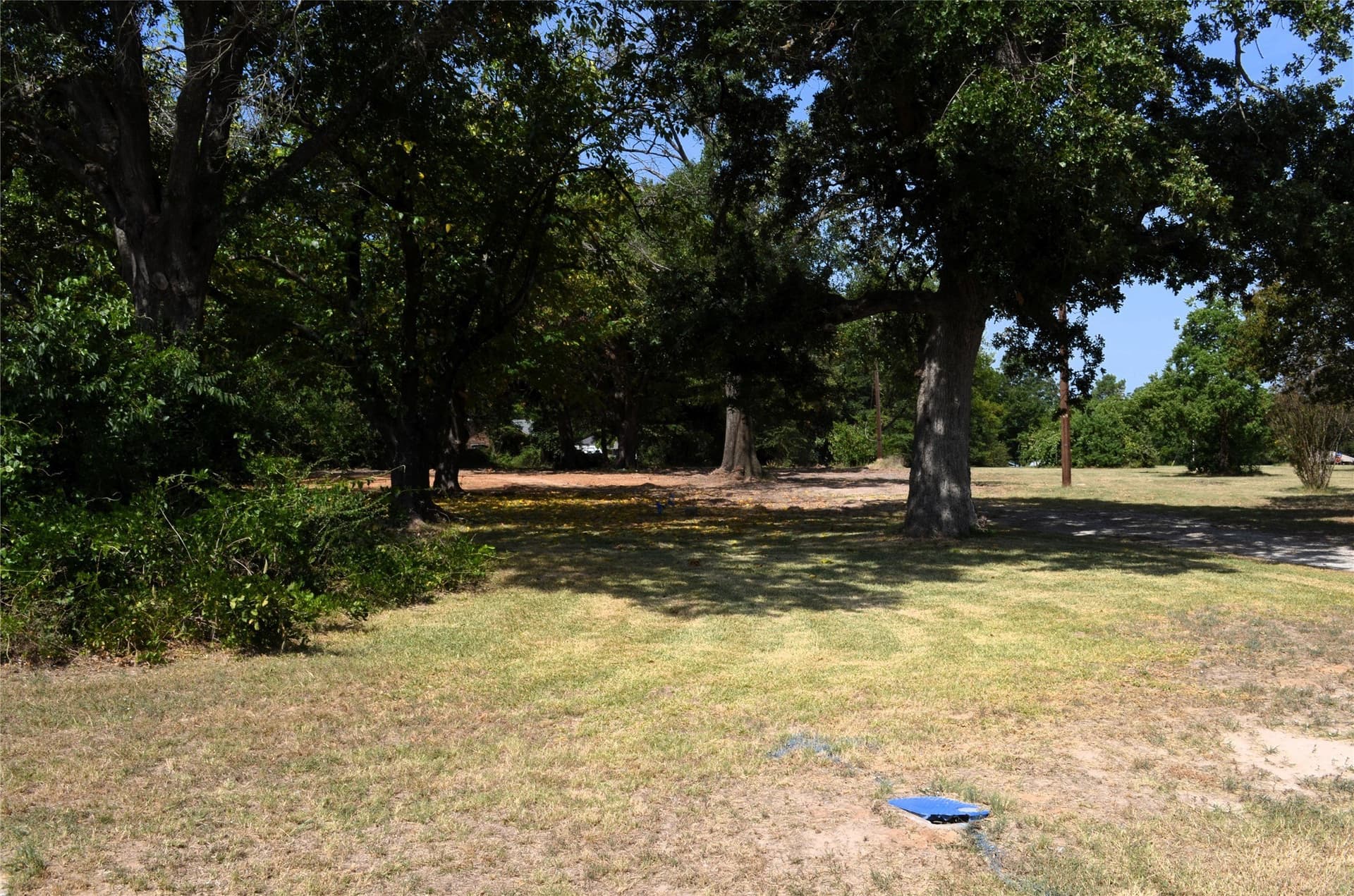 2 acres in Henderson County - photo 18