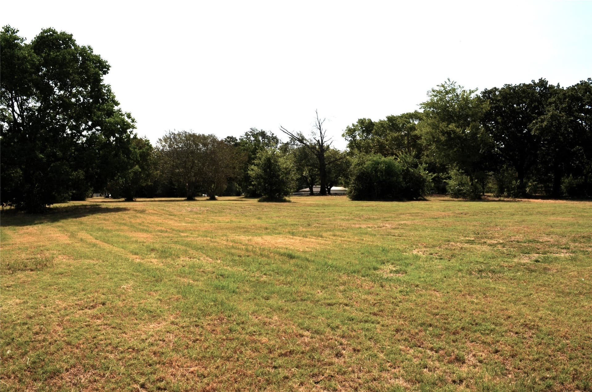 2 acres in Henderson County - photo 9