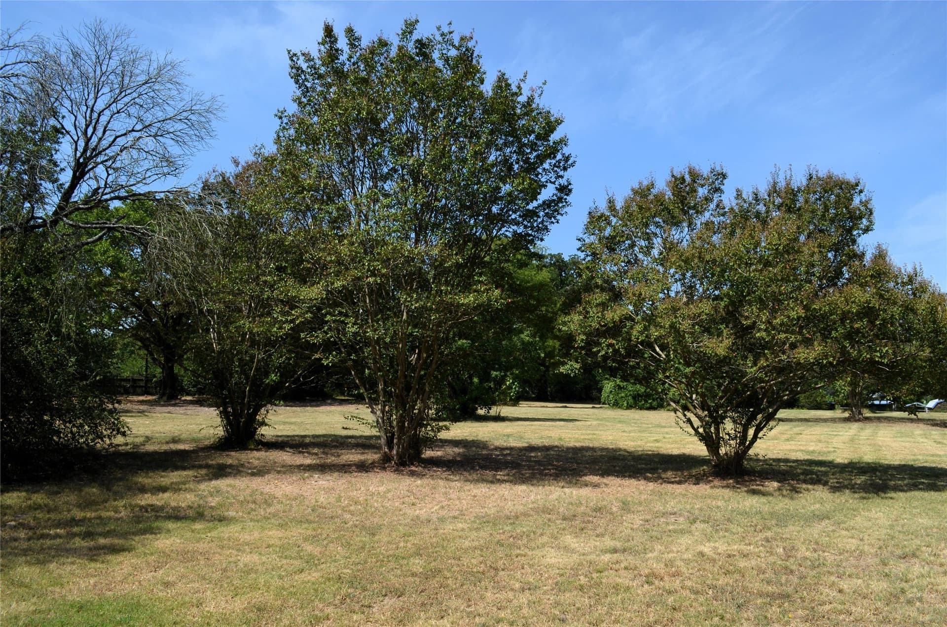 2 acres in Henderson County - photo 13
