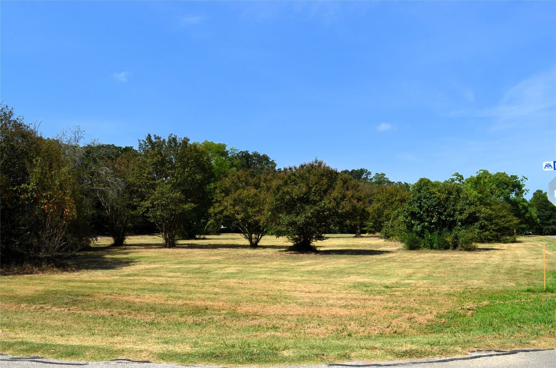 2 acres in Henderson County gallery image 4