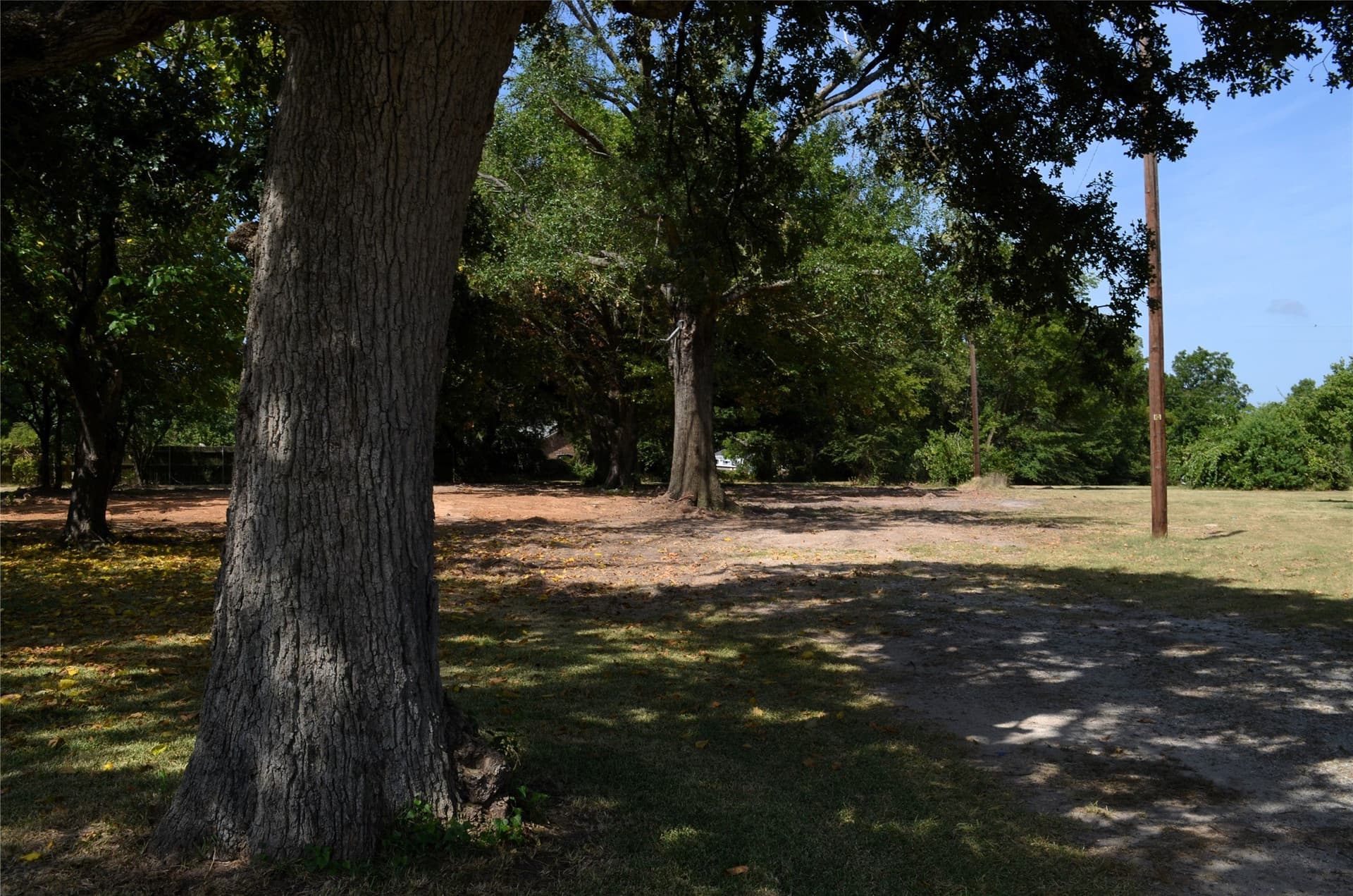 2 acres in Henderson County - photo 11