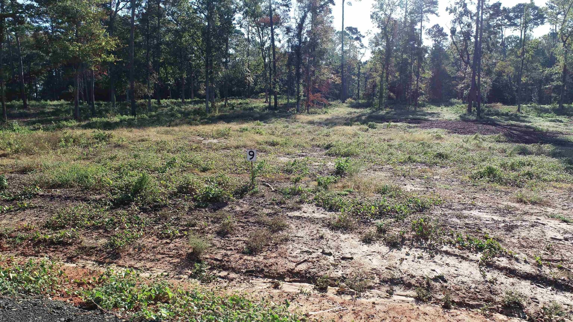 4.16 acres in Texas County - photo 2