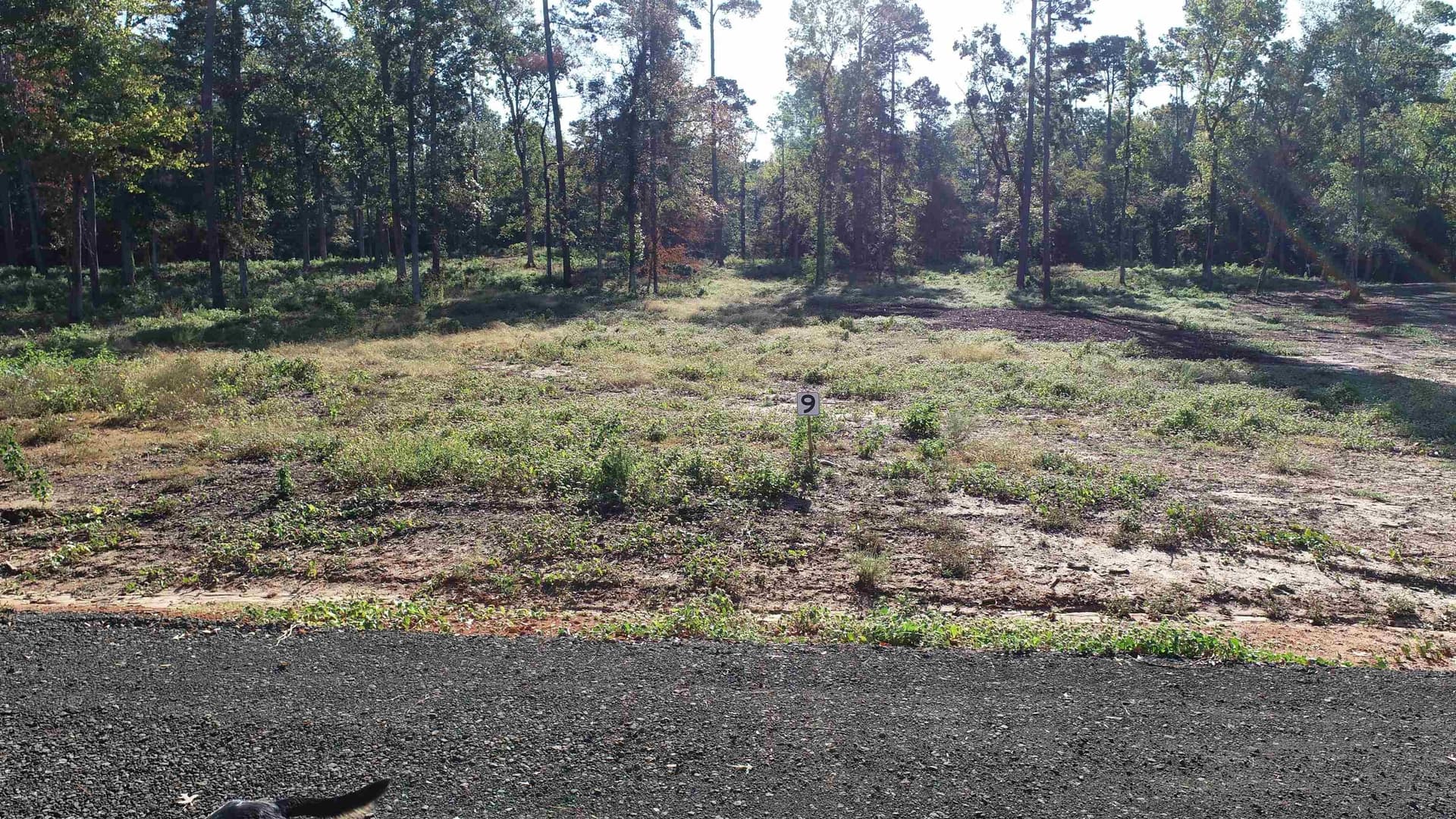 4.16 acres in Texas County - photo 3