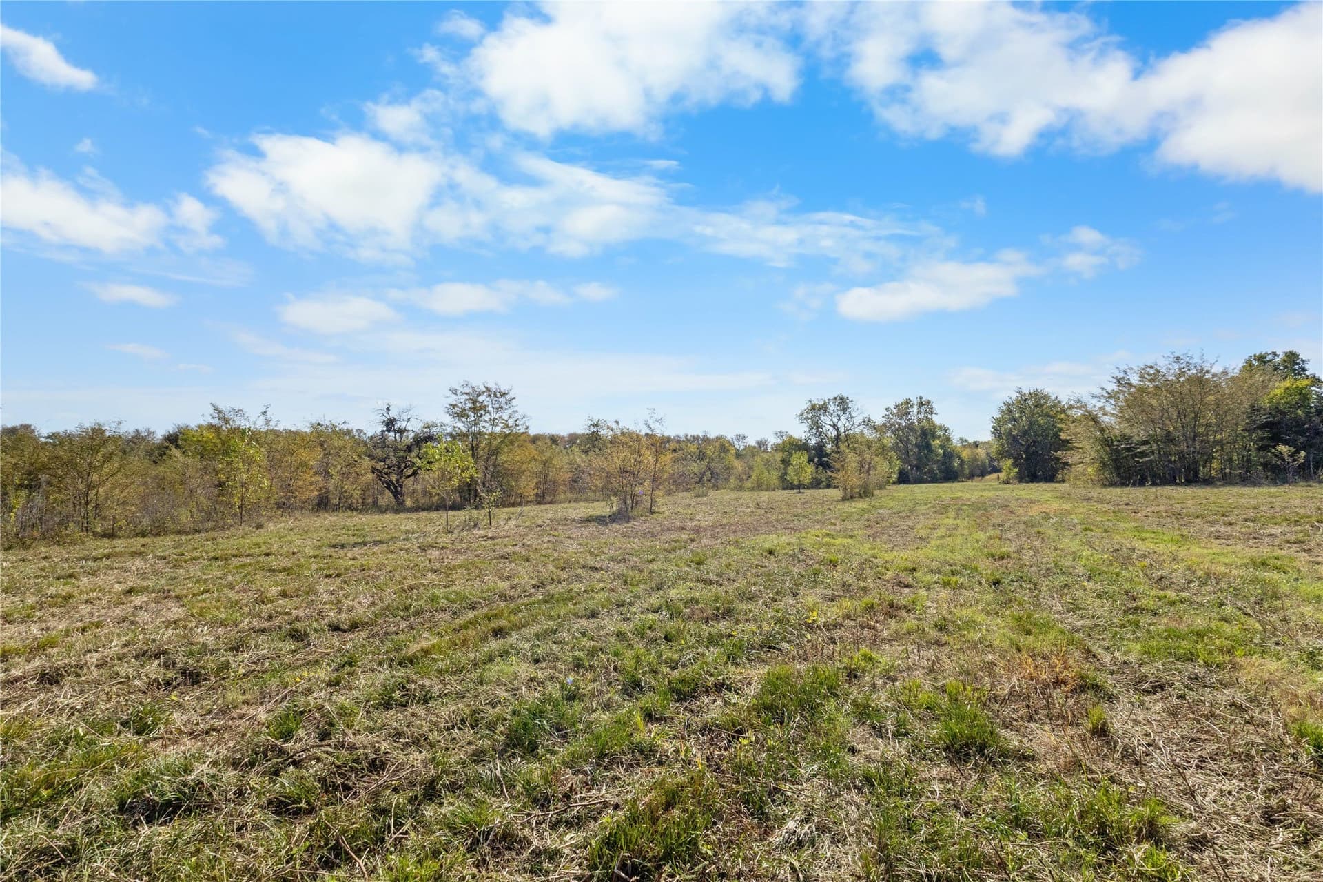40 acres in Delta County - photo 17