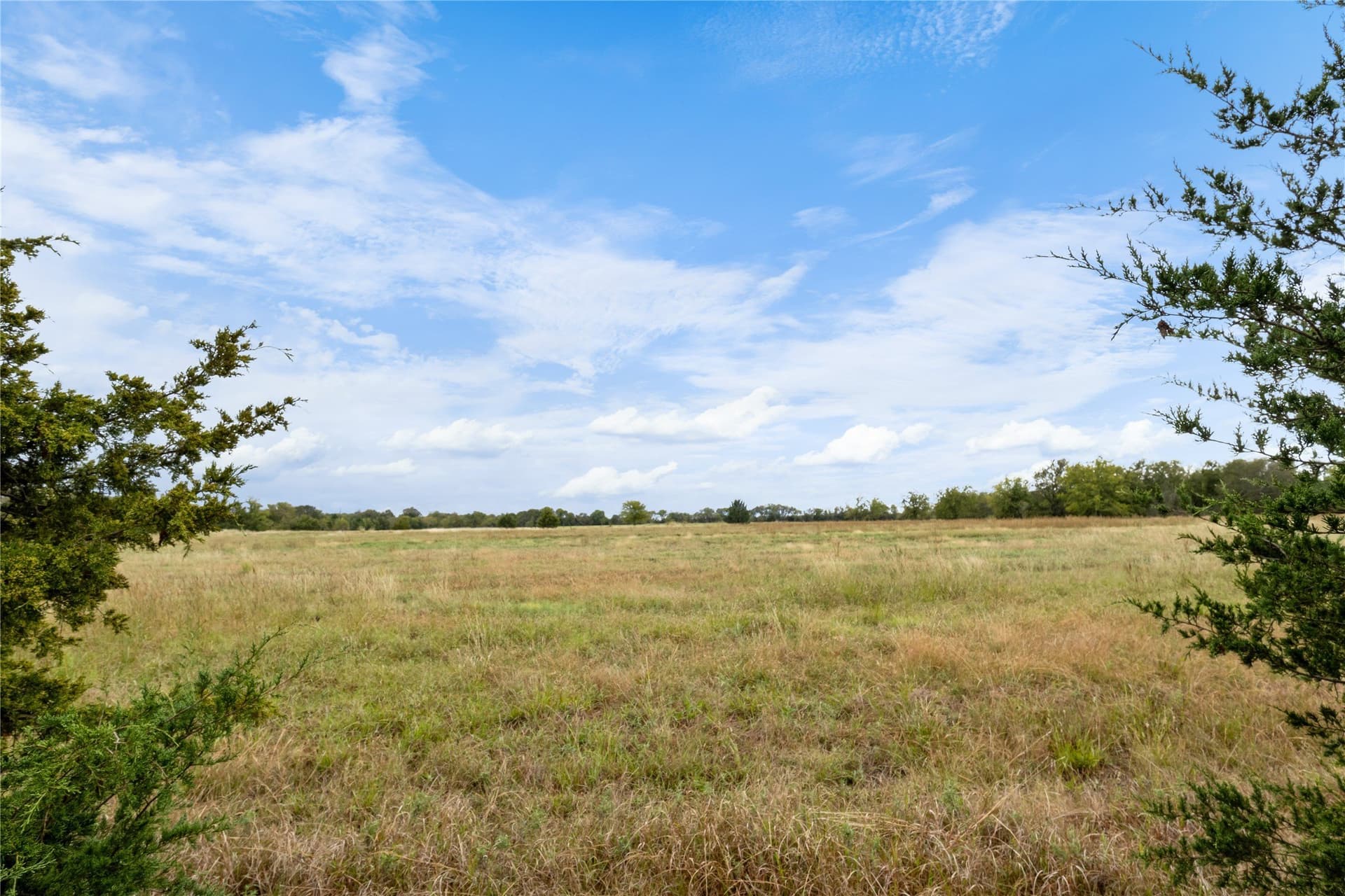 40 acres in Delta County - photo 19