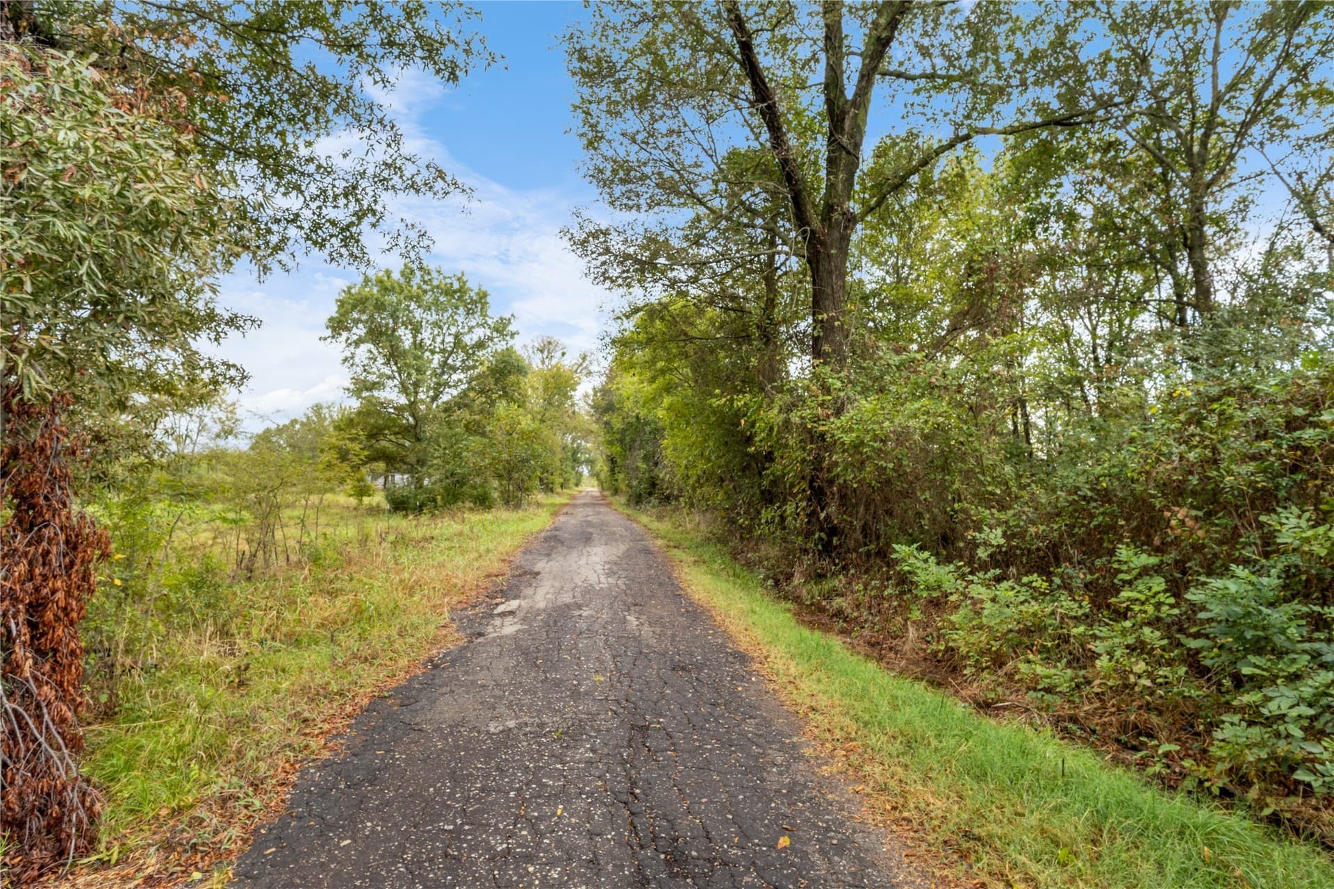 40 acres in Delta County - photo 20