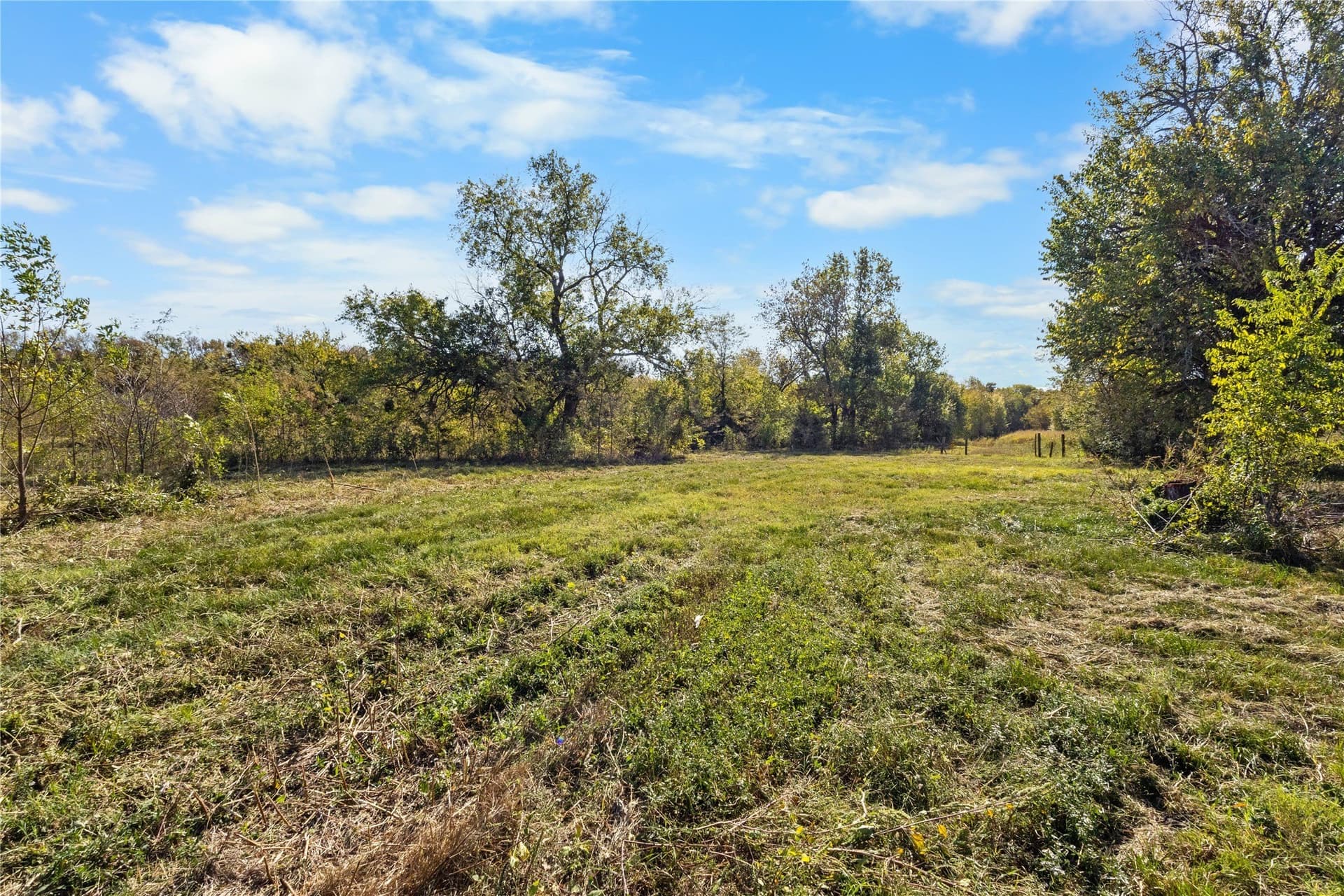 40 acres in Delta County - photo 18