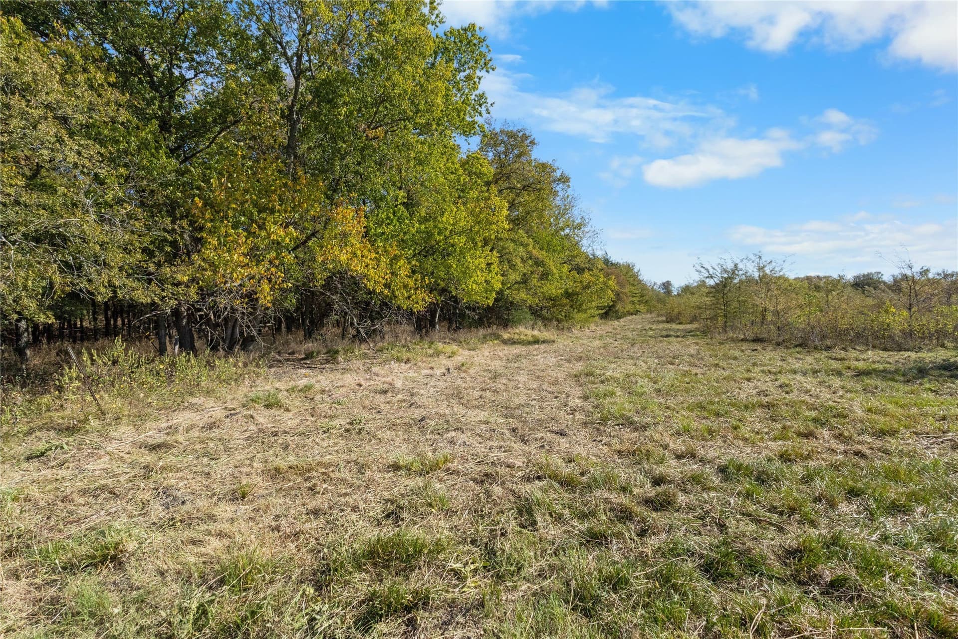 40 acres in Delta County - photo 16