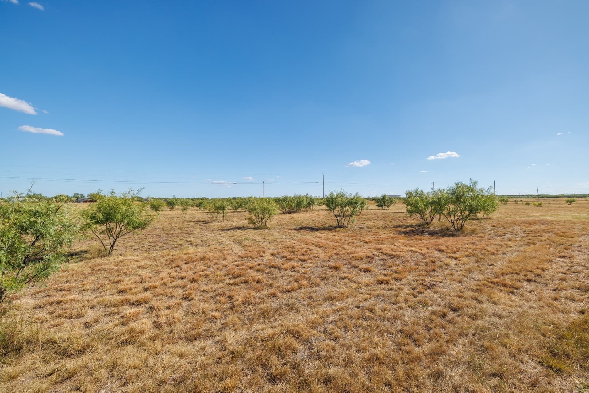 12.64 acres in Taylor County - photo 37