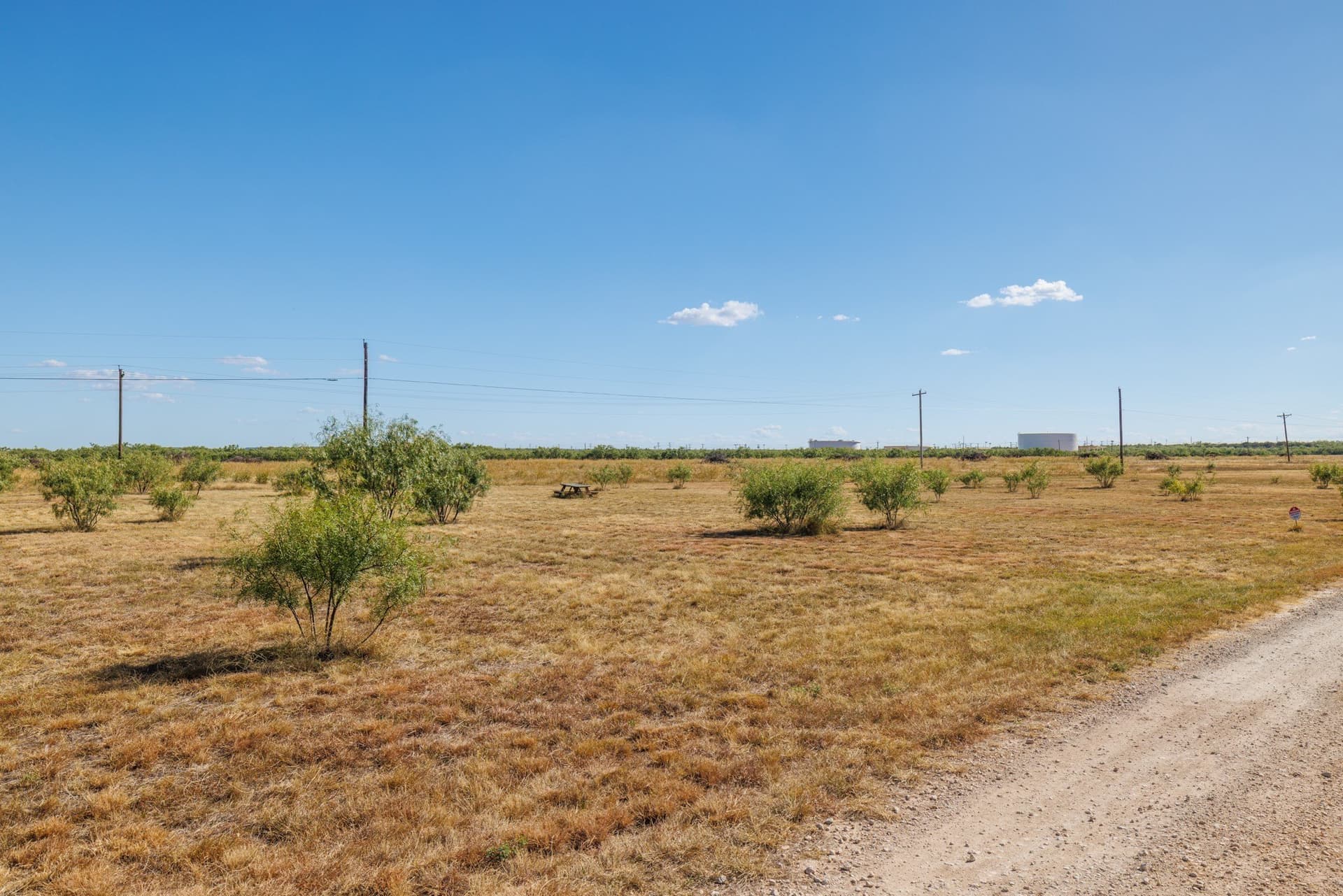 12.64 acres in Taylor County - photo 38