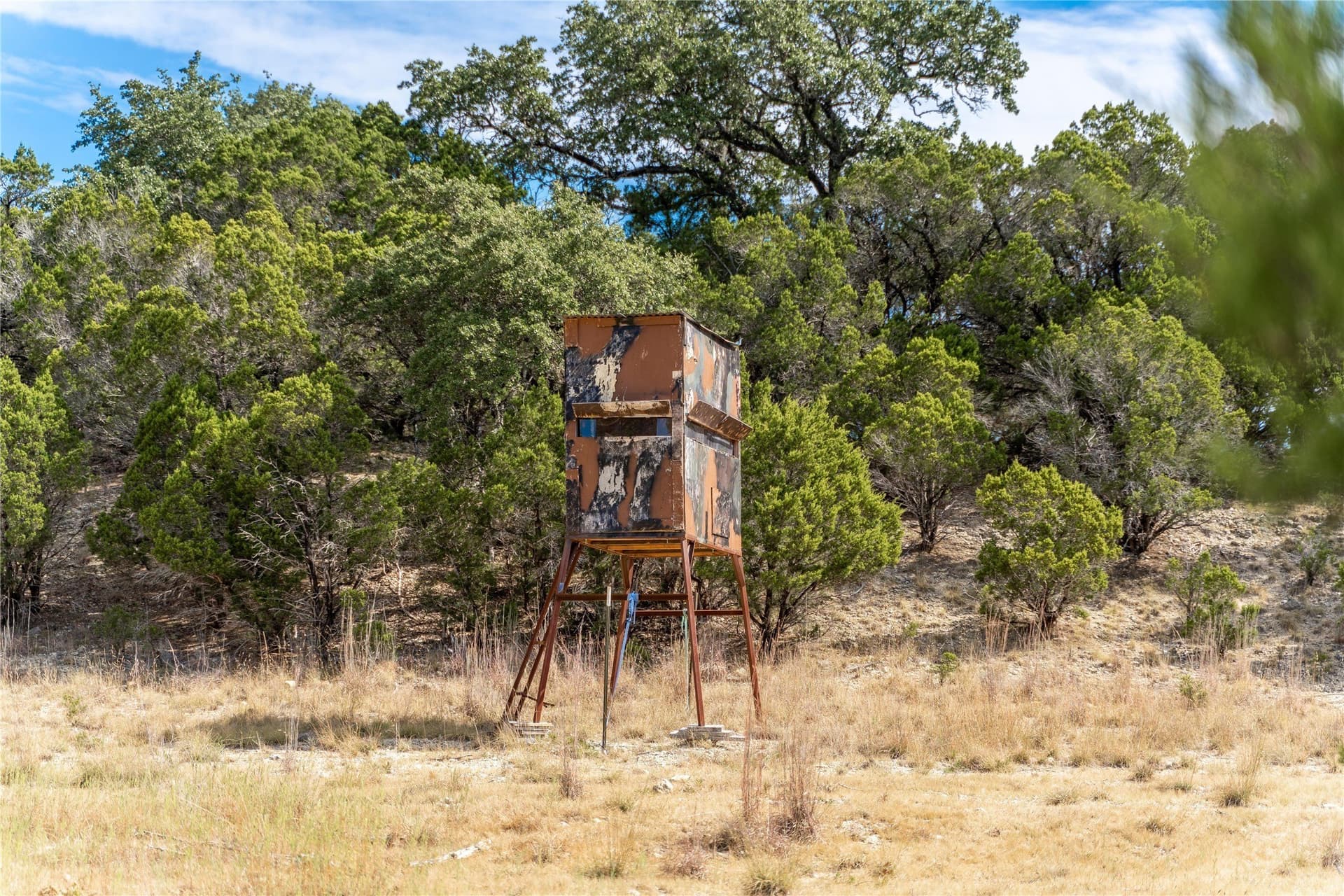 66.99 acres in Bell County - photo 11