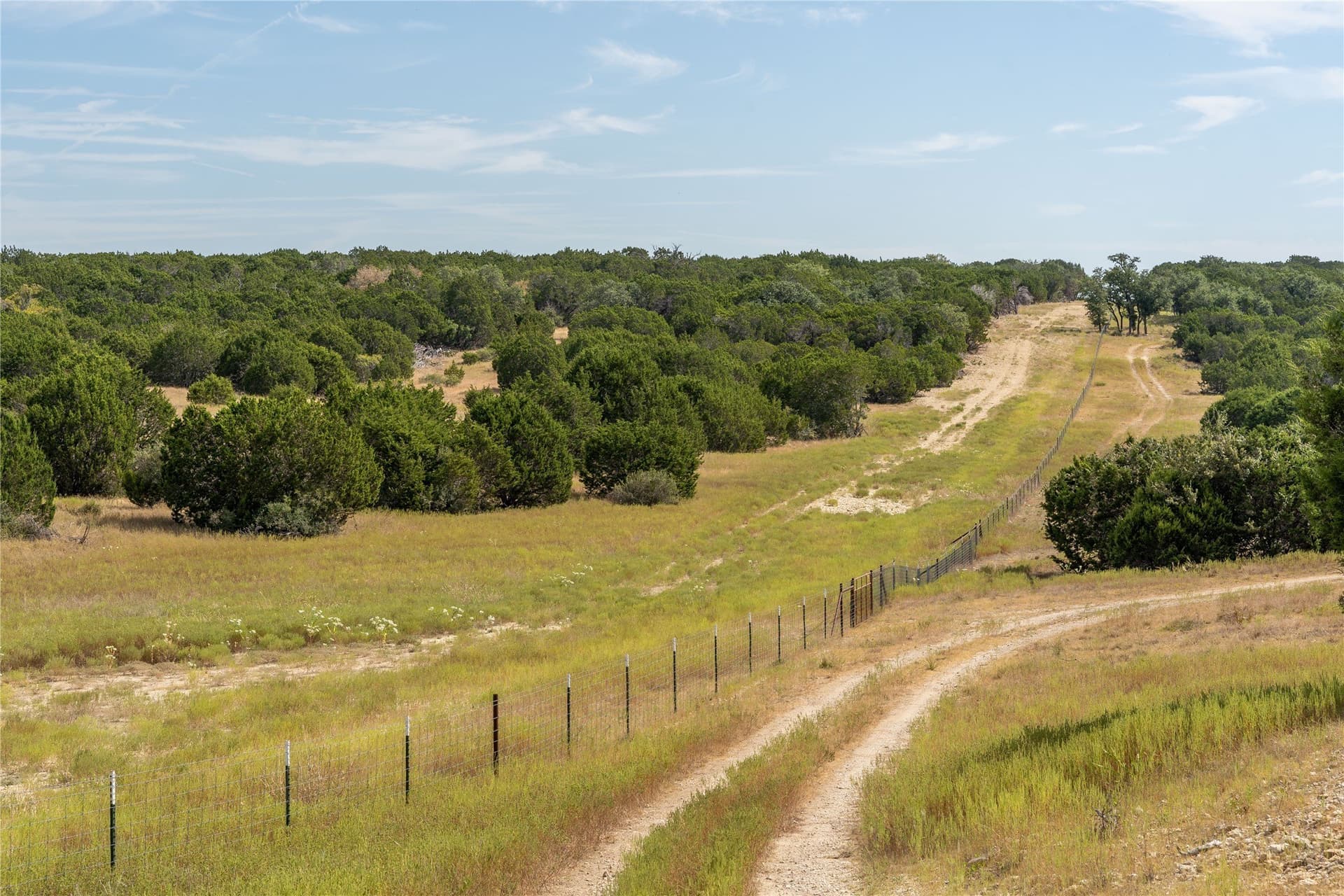 66.99 acres in Bell County gallery image 3
