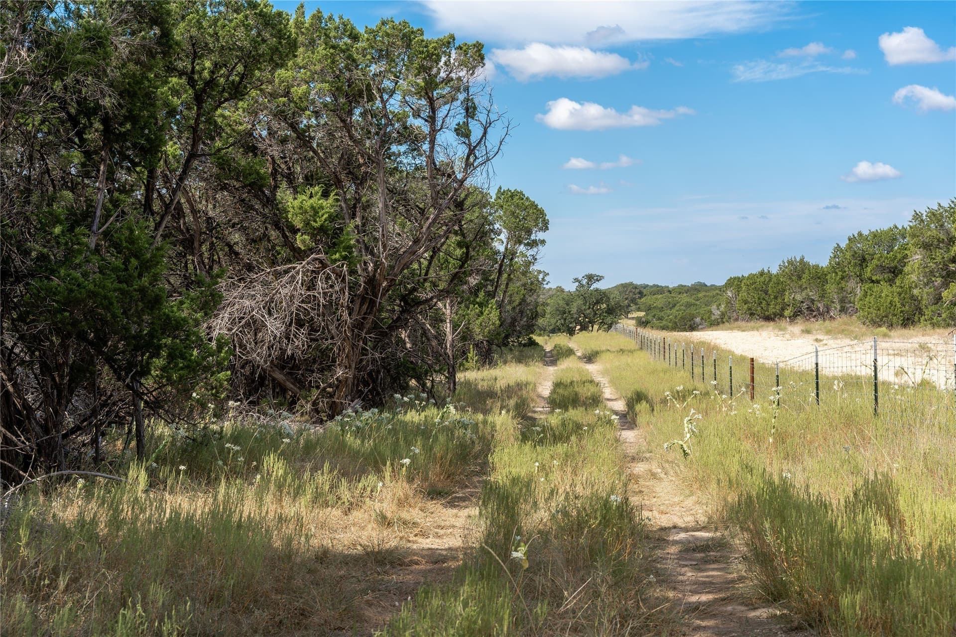 66.99 acres in Bell County - photo 16