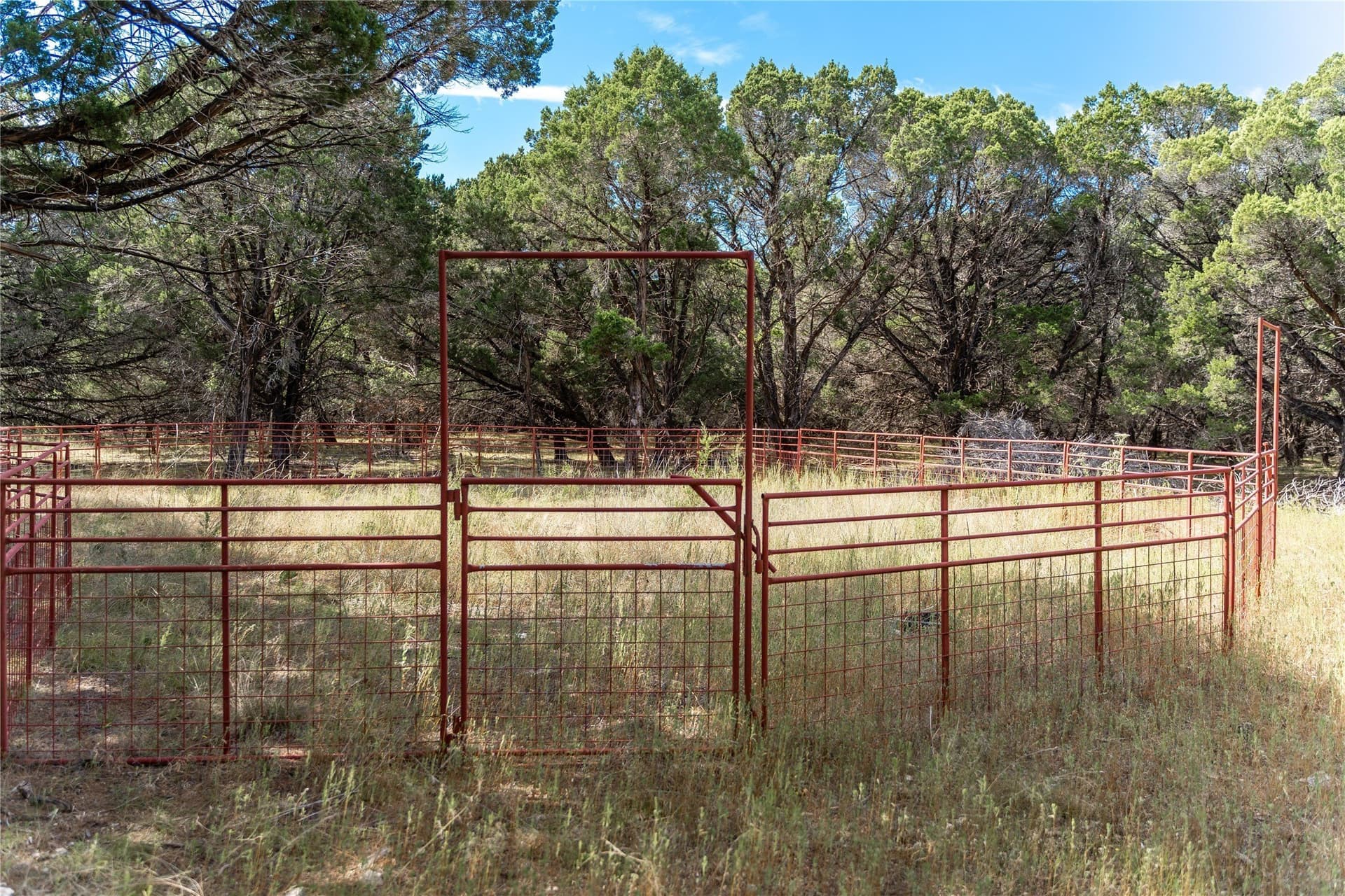 66.99 acres in Bell County - photo 8