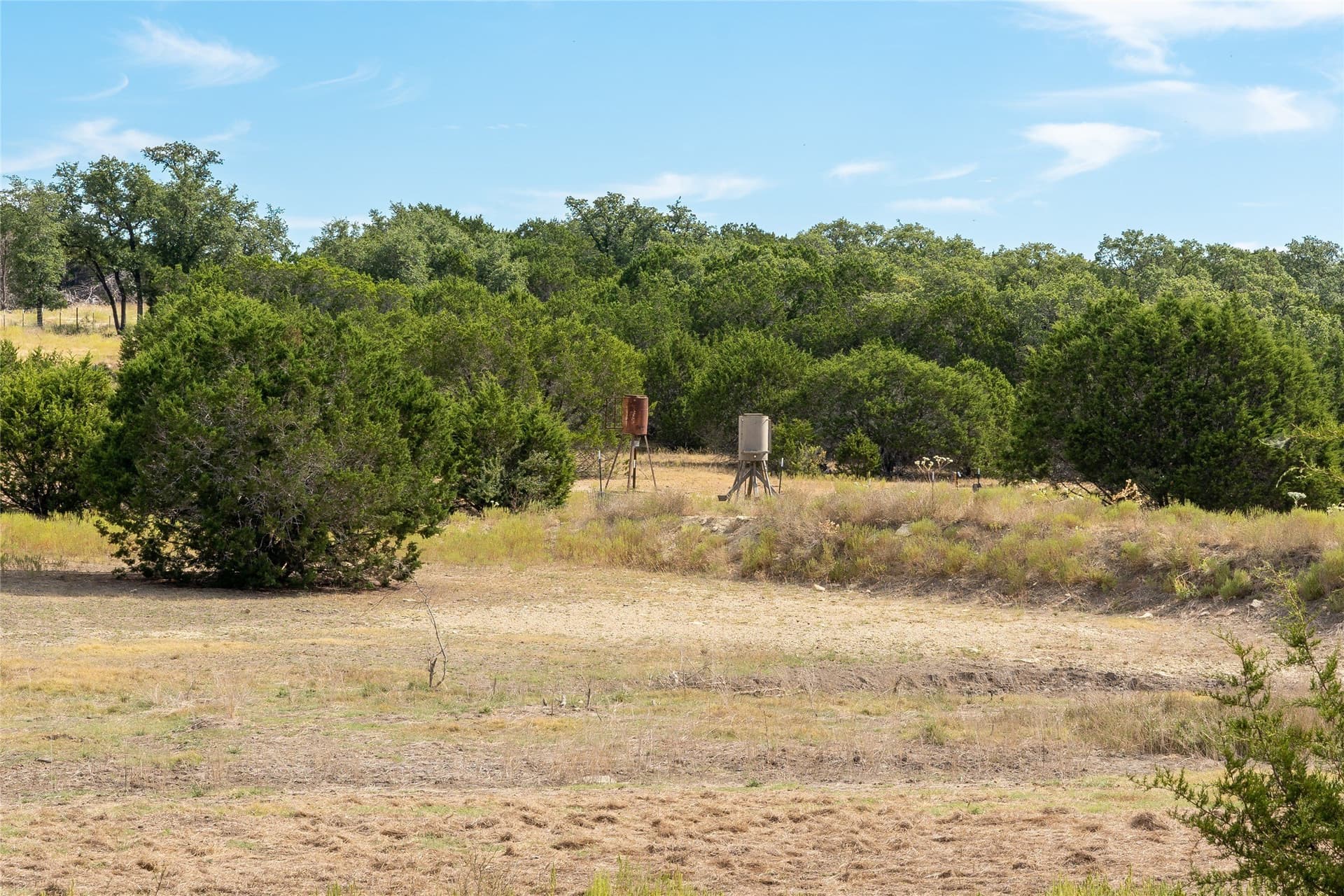 66.99 acres in Bell County gallery image 4