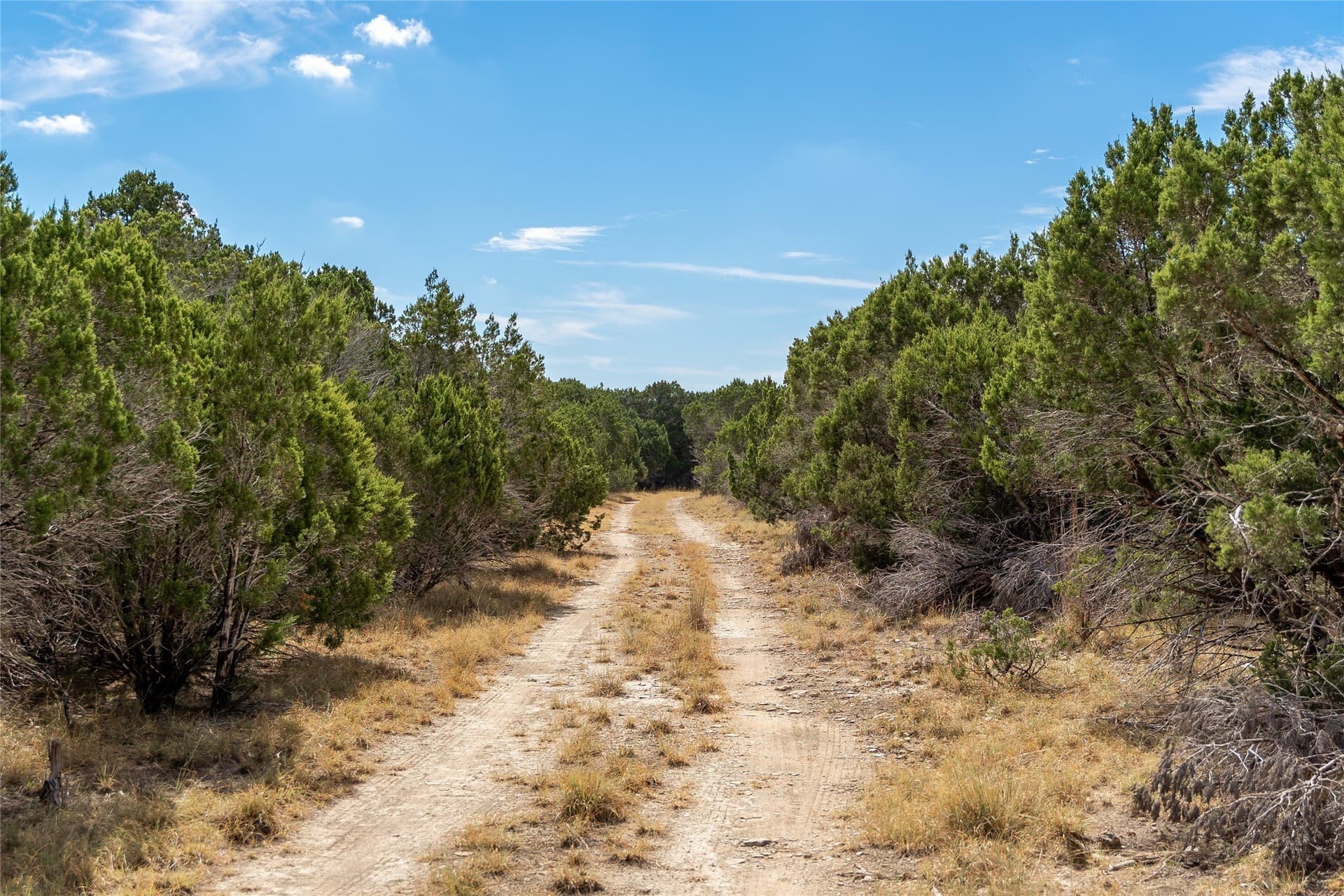 66.99 acres in Bell County - photo 7