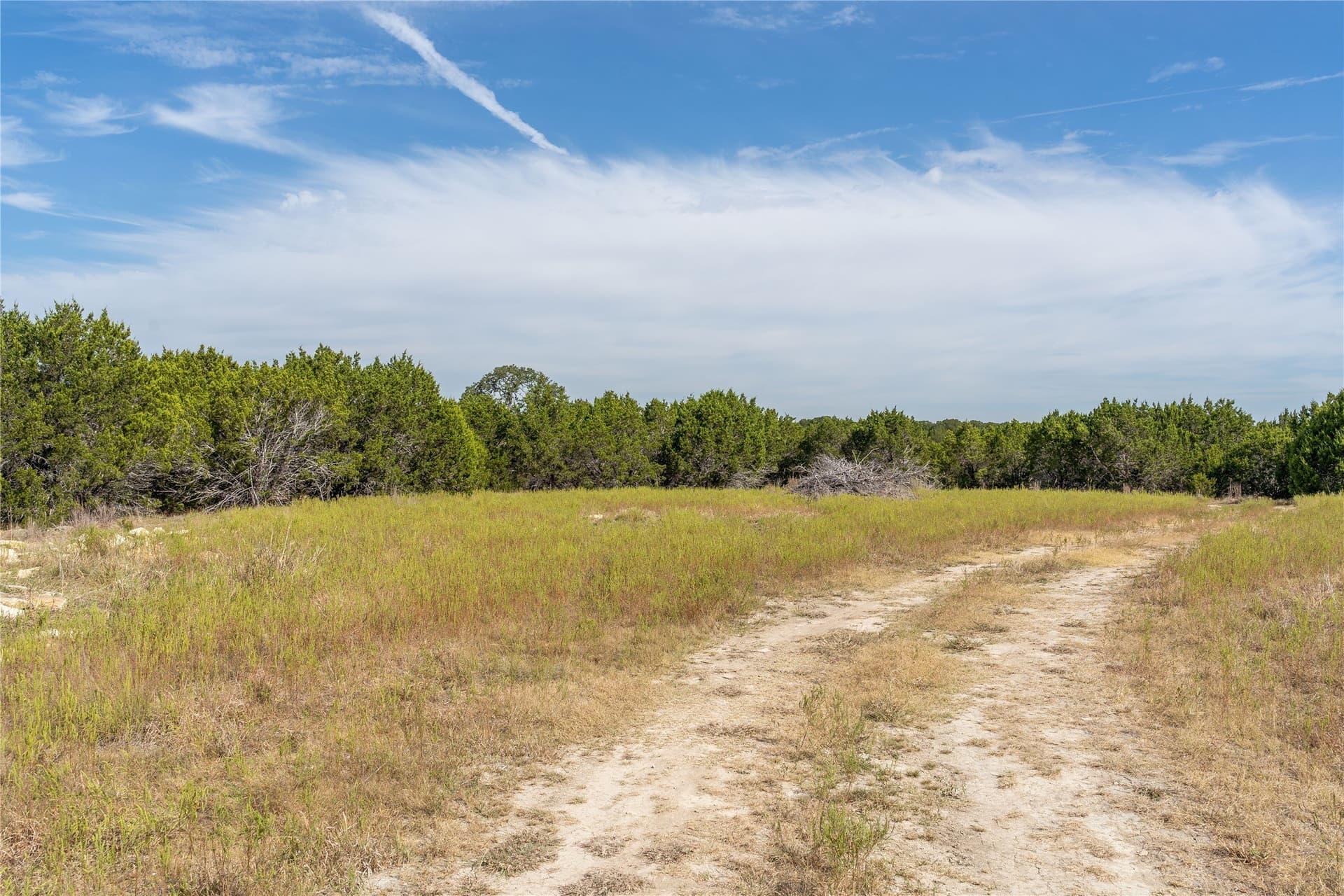 66.99 acres in Bell County gallery image 2