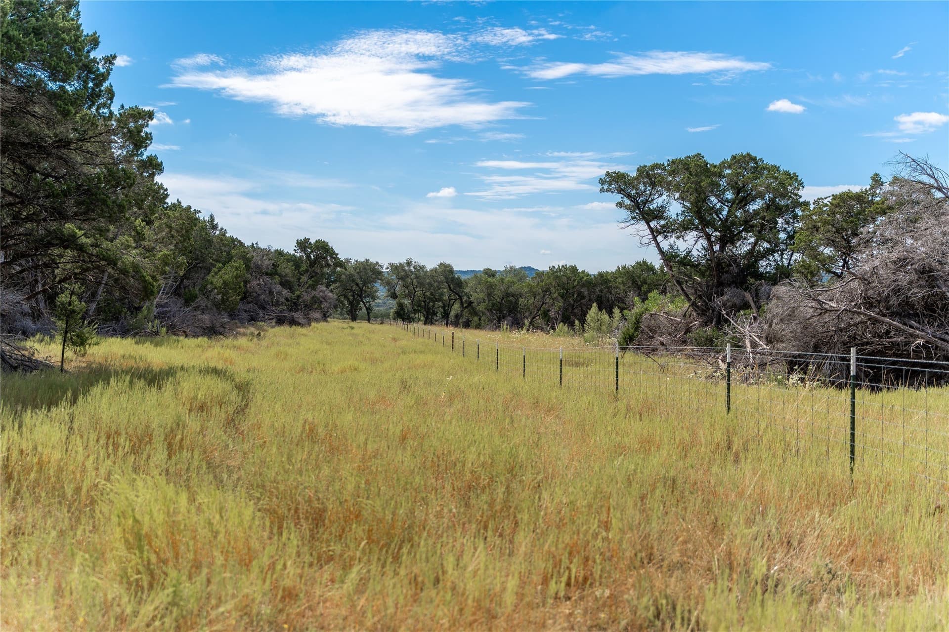 66.99 acres in Bell County - photo 9